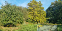 terrain à ST MARTIN DE HINX (40390)