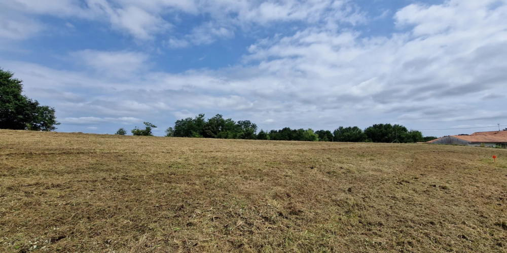 terrain à HABAS (40290)