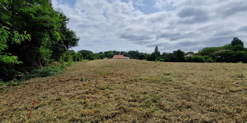 terrain à HABAS (40290)