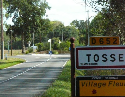 terrain  TOSSE