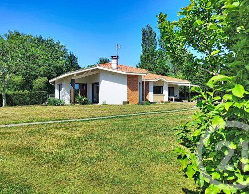 maison  ORX