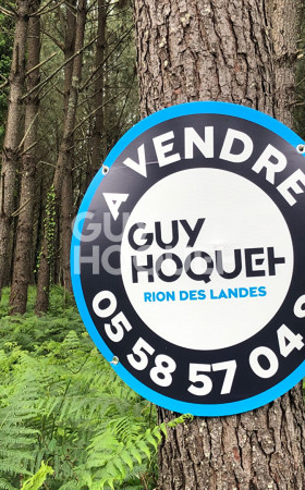 Terrain  RION DES LANDES