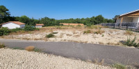 terrain à LIT ET MIXE (40170)