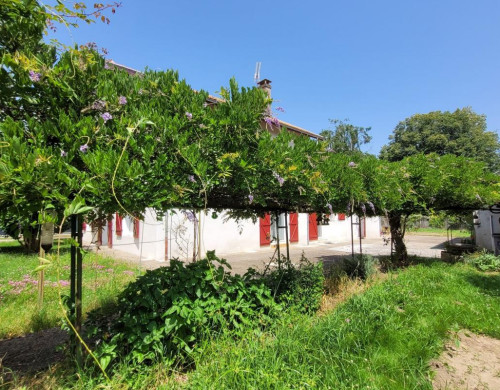 maison  RIVIERE SAAS ET GOURBY