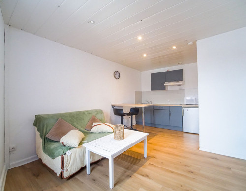 appartement  AIRE SUR L ADOUR