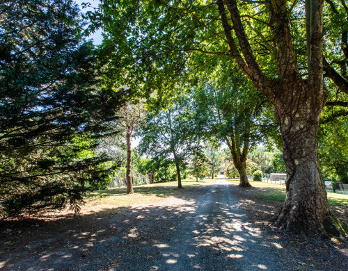 maison  AIRE SUR L ADOUR