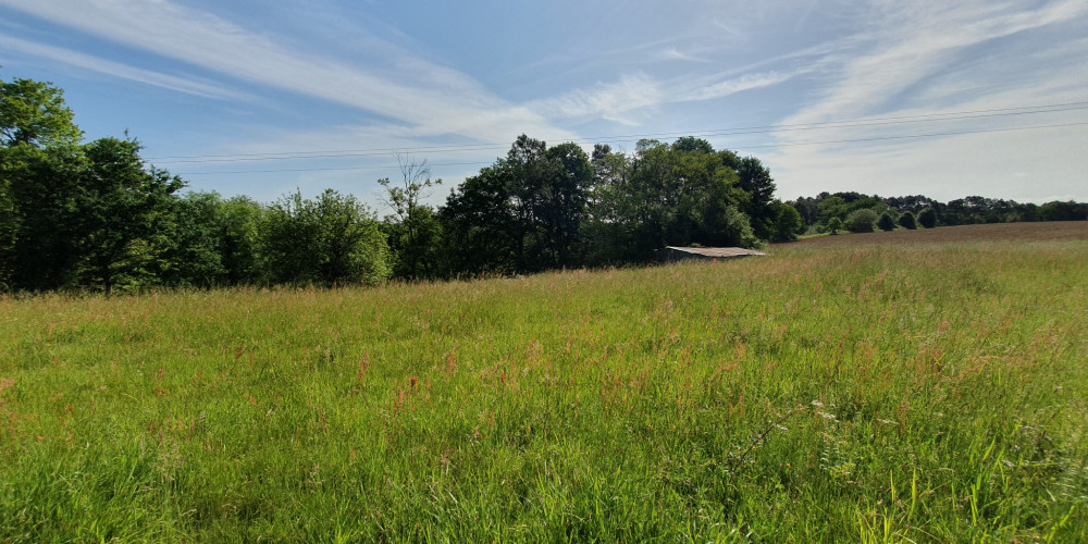 terrain à HAGETMAU (40700)