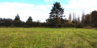 terrain à STE COLOMBE (40700)