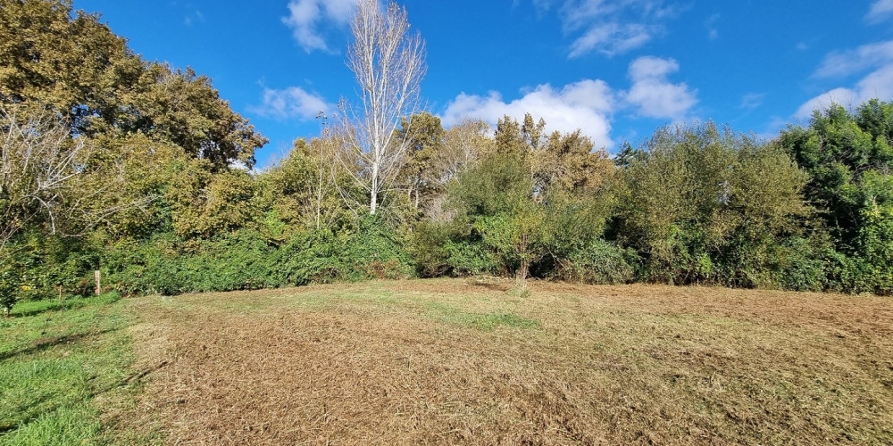 terrain à MEZOS (40170)