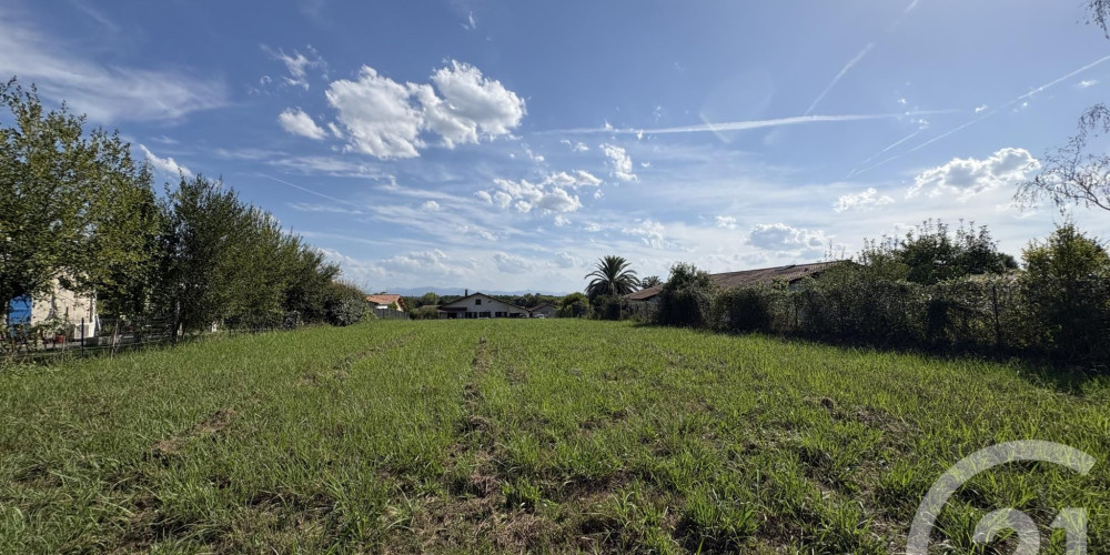 terrain à ST MARTIN DE SEIGNANX (40390)