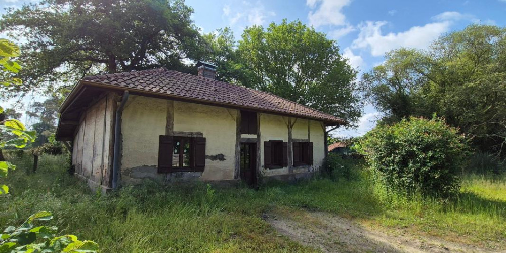 maison à MORCENX (40110)