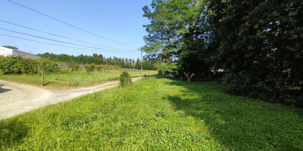 terrain à PEYREHORADE (40300)