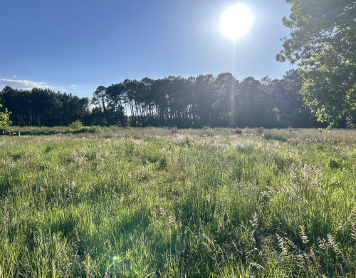 terrain  TOSSE