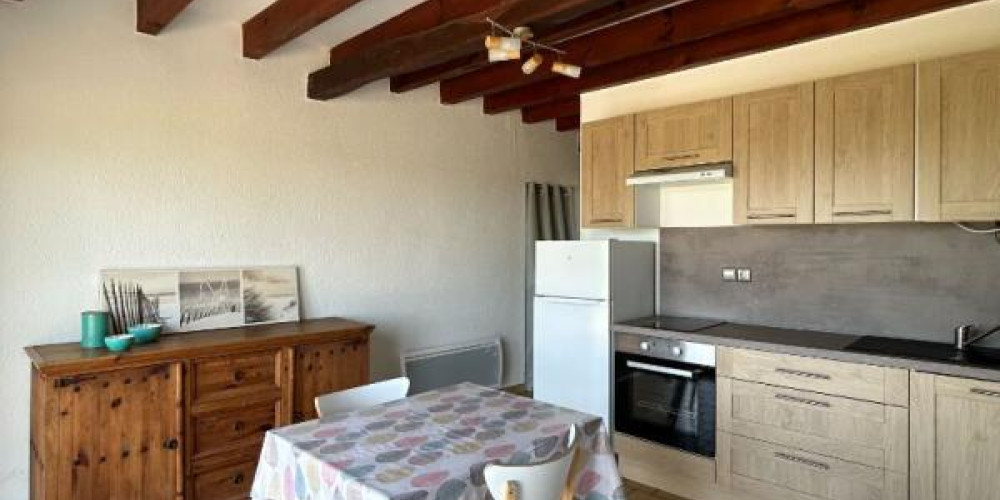 appartement à ST LOUBOUER (40320)