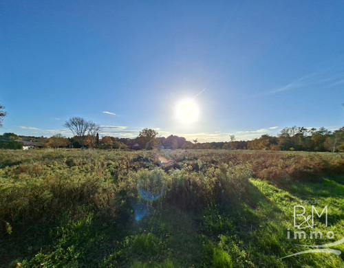 terrain  ST MICHEL ESCALUS