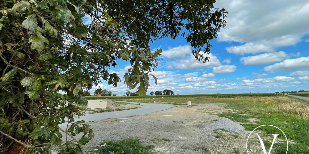terrain à MONSEGUR (40700)