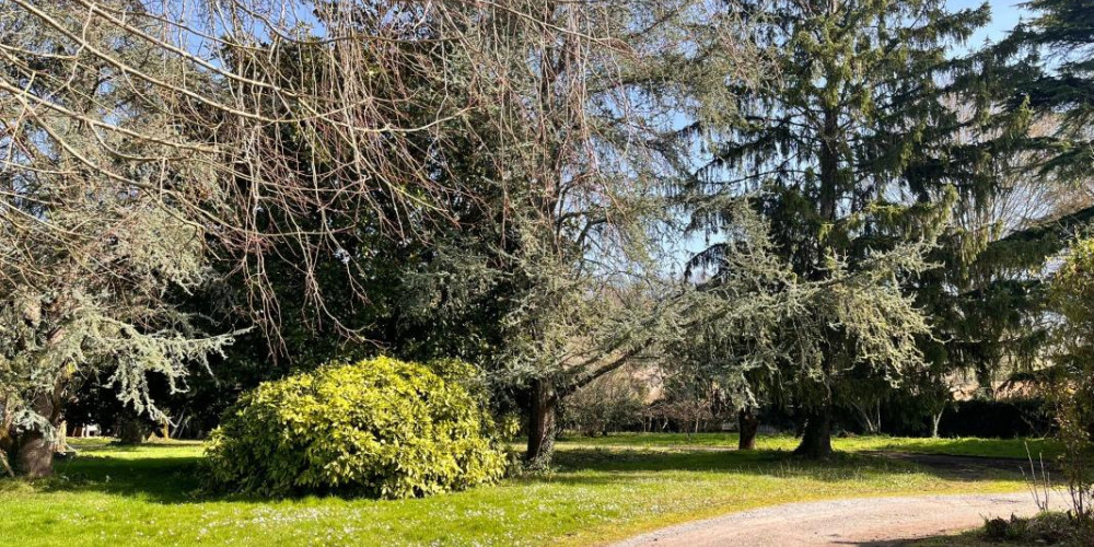 maison à SORDE L ABBAYE (40300)
