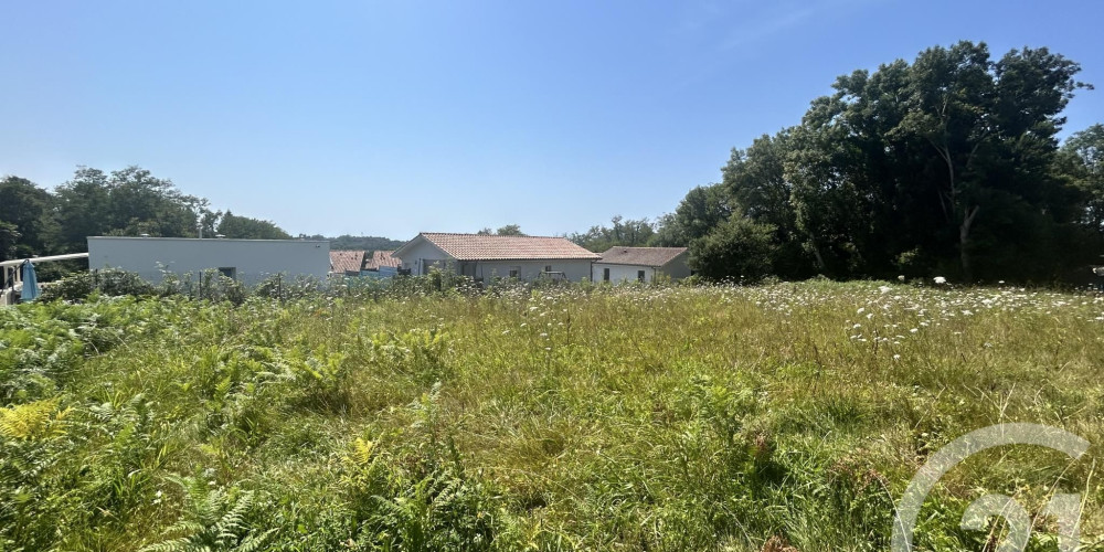 terrain à ONDRES (40440)