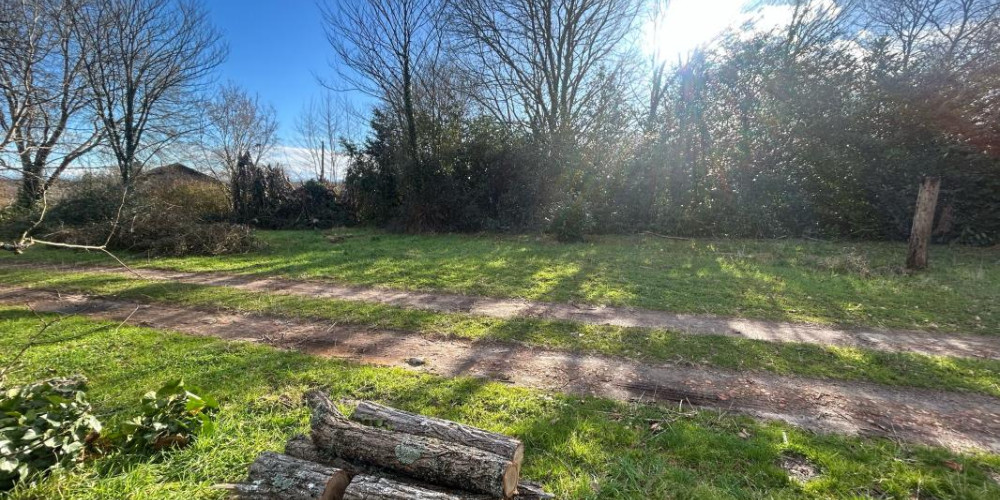 terrain à JOSSE (40230)