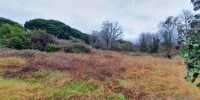 terrain à MONT DE MARSAN (40000)