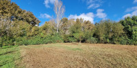 terrain à MEZOS (40170)