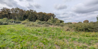 terrain à MONT DE MARSAN (40000)