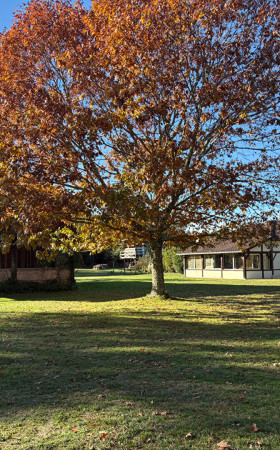 Maison  RION DES LANDES