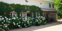 maison à ST MARTIN D ONEY (40090)