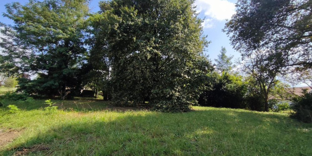 terrain à PEYREHORADE (40300)