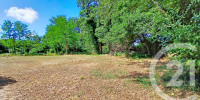 terrain à ONDRES (40440)
