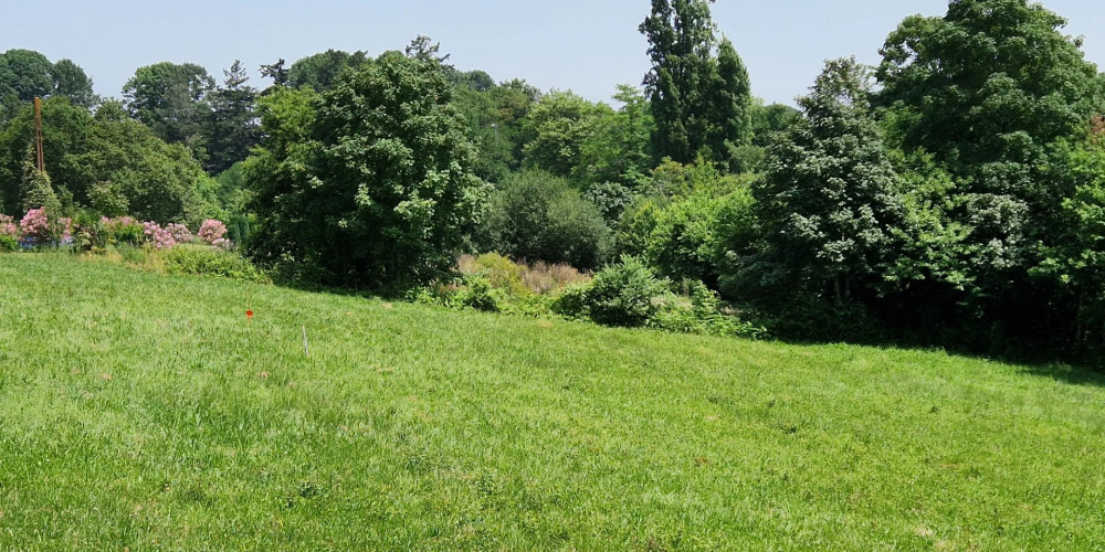 terrain à HABAS (40290)