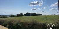 terrain à MONSEGUR (40700)