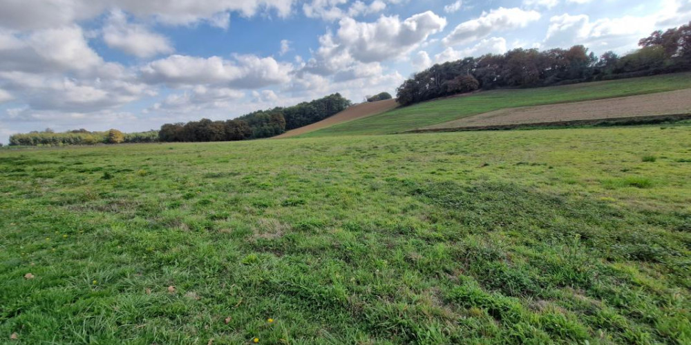 terrain à ST AUBIN (40250)