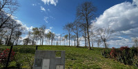 terrain à MAZEROLLES (40090)