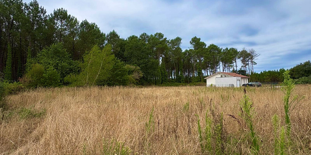 terrain à RION DES LANDES (40370)