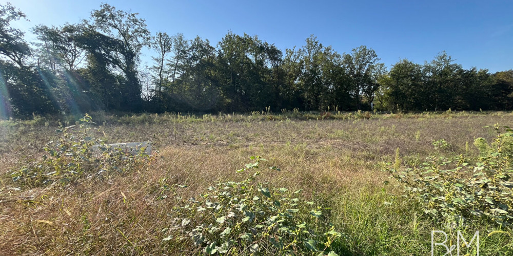 terrain à TOSSE (40230)