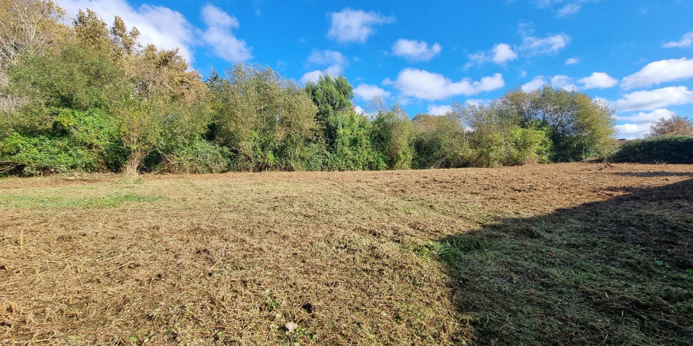 terrain à MEZOS (40170)