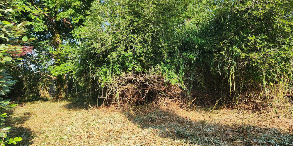 terrain à SANGUINET (40460)
