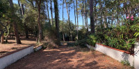 maison à SEIGNOSSE (40510)