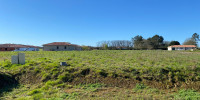 terrain à CARCARES STE CROIX (40400)