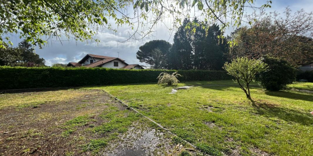 terrain à TOSSE (40230)