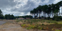 terrain à RION DES LANDES (40370)