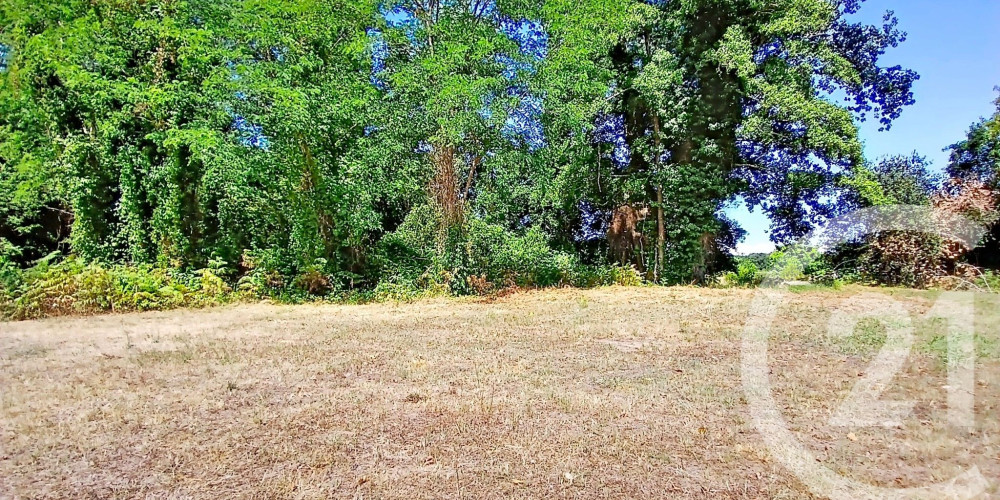 terrain à ONDRES (40440)