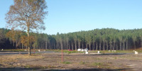 terrain à VIELLE ST GIRONS (40560)