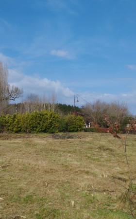 Terrain  RION DES LANDES