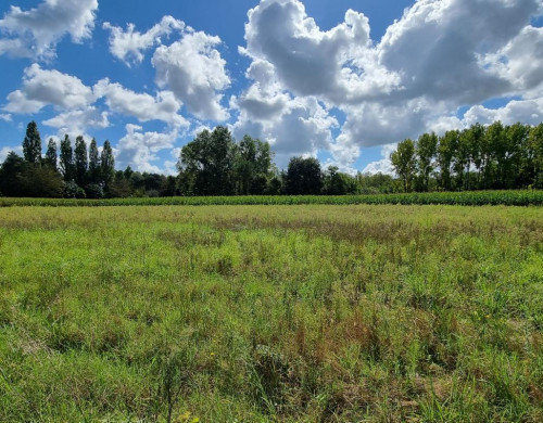 terrain  PEYREHORADE