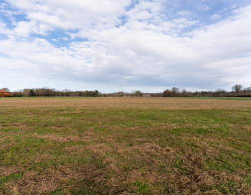 terrain  ST MARTIN DE HINX