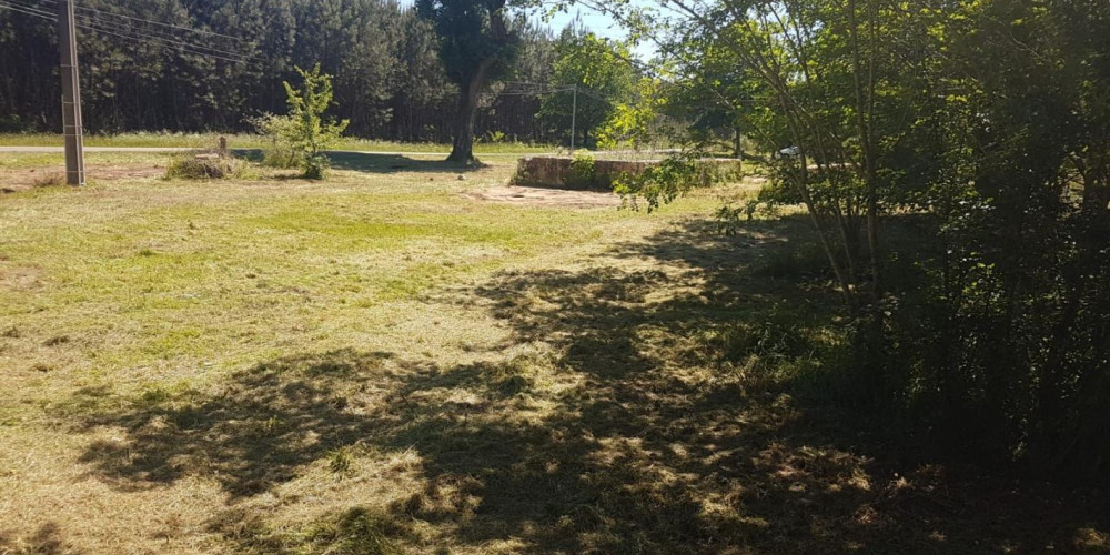 terrain à ST PERDON (40090)