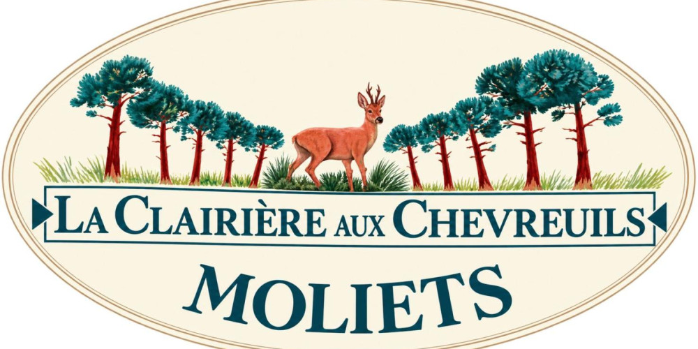 maison à MOLIETS ET MAA (40660)
