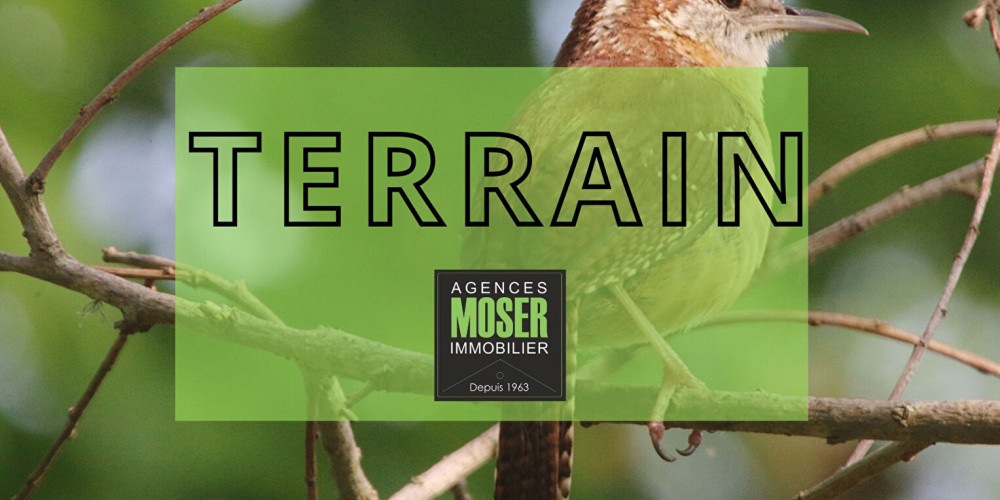 terrain à ANGRESSE (40150)